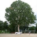 분원백자자료관 이미지