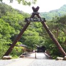 소백산 남천야영장1 이미지