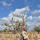 팔마아파트 놀이시설 | 마요르카 숙소 추천(+최저가 예약) 조식 석식 올인클루시브 호텔 Aparthotel Isla de Cabrera