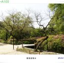 주식회사세연정 이미지