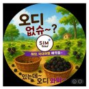 마감)6월7일 철원 베개용암 출렁다리, 오디따기ㆍ연천 스톤카페 이미지