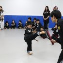 현중무관 백호 합기도 이미지