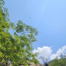 옥순대교 이미지