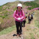 천자봉 농장 이미지