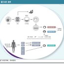 한국테루모(주) | [정보] 줄기세포 치료제, 미래먹거리 / 관련주