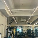 인트로짐 이미지