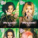 와이헤어(why-헤어)