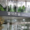 국기로 상상하는 아시아 | 세종시 가볼 만한 곳 국립세종수목원(feat.핑크퐁)