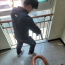 베스트크린 이미지