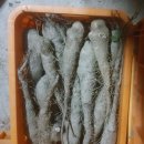 동윤농장 이미지