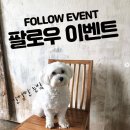 펫즈메모리 | 엄마의 마음으로 자연이 만든 천연비누 :)) 펫즈메모리 건강하리