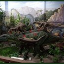 덕소자연사박물관 이미지