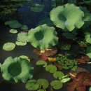 광선초등학교 이미지