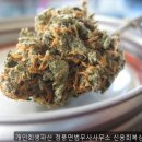 정풍면법무사사무소 | 개인회생, 개인회생파산 정풍면법무사사무소 신용회복상담전문 인생을 다시 시작한 후기
