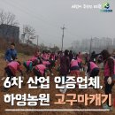 하영영농