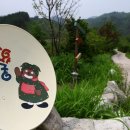 365민박 Daum카페