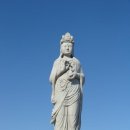 나무와 해(海) 이미지