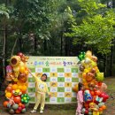 옥구어린이집 | 🌈 주말 지낸 이야기🎵 어린이집 가족 행사 숲 놀이체험 / 옥구공원 마술쇼 / 영종도 드론쇼&amp;불꽃축제 후기