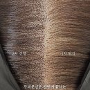꼼꼼헤어 - 중구 보문로67번길 8 | 꼼꼼헤어