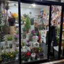 신성약국 | 크리스마스에 가기 좋은 곳 / 양주 대형마트 리치마트 후기