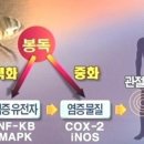 명장한의원 이미지