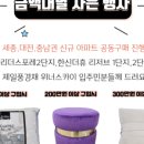 올랜드세종 이미지