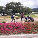 개곡1리 이미지