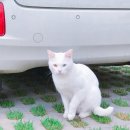 리엔하우스 이미지