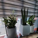 칠북공인중개사사무소 이미지