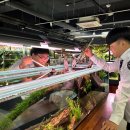 완도수산고등학교 이미지