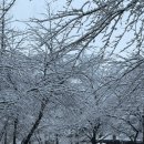 매쓰천사원격학원 | 6월에 올리는 3월 결산