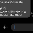 (주)사이드미러 이미지