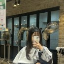 하루헤어스타일리스트 | 문정동미용실 아이디헤어 문정점 ㅣ 하루 스타일리스트 1:1 맞춤형 클리닉 후기