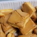 누네띠네 이미지