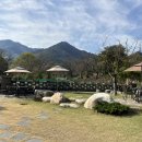 카페젤코바 이미지