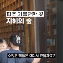 지혜의숲 | 파주 지혜의숲 숙소 아이랑 주차 꿀팁 북카페 후기