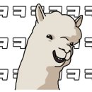 폴스부띠끄타임스퀘어 이미지