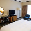 록시호텔 이미지