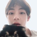 강아지 사랑 이미지