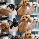 빈스 앤 멍 이미지