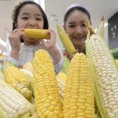 (주)동해식품 이미지