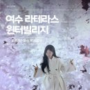 더테라스 112동 앞(2) | 여수 라테라스 윈터 빌리지 | 테마별 후기 | 사진 팁 눈 내리는 시간