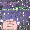 도그스타 이미지