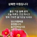 학생체육관 이미지