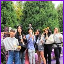 동광태권도 이미지