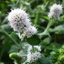 엑스포랜드 이미지