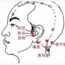 청력저하 난청 이명 등의 원인과 회복 이미지
