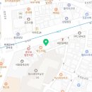해피애견타운 강아지고양이 서울충무로점 네이버블로그