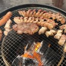 별빛애견 이미지