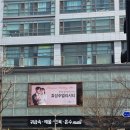2682 | 효성주얼리시티점 랩다이아 웨딩밴드 내부 및 상담 투어 후기(추천인코드 : 전소영2682, 총 페이백 4만원)